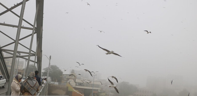 تداوم وقوع مه در خوزستان تا اواسط هفته